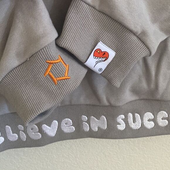 LAS VEGAS INFERNO X IBIS Brand Men’s Gray Collaborative Hoodie Size XL - Picture 6 of 7